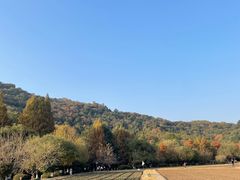 -八卦田遗址公园