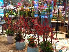 -天河领展广场