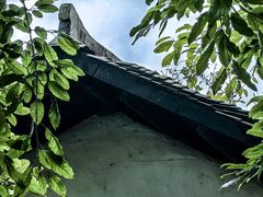 -武陵山森林公园