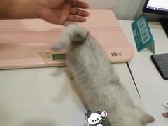 -立德动物医院·24小时中心(番禺区院区)