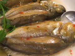 -御同亨酒楼·喜宴