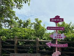 -海口火山口国家地质公园