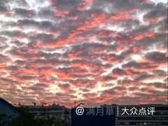 -映月湖公园