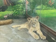 -栾川竹海野生动物园