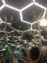 -未来动物城主题公园(正弘城店)