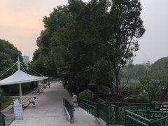 -新江湾城公园