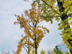 -两江幸福广场