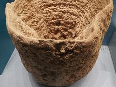 -贝林大翅鲸简餐厅(国家海洋博物馆店)