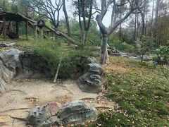 -武汉动物园