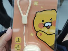 -KAKAO FRIENDS(弘大店)