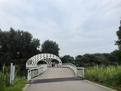 -同里国家湿地公园