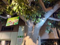 -仙踪林(惠润广场店)