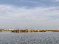 -包头南海湿地景区