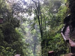 -青城山