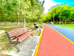 -大兴滨河森林公园