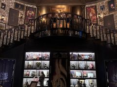 -雪灵魔法世界SHELLY’S TAROT(大良桂畔里店)