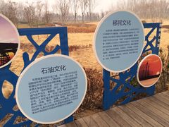 文化展板-东营·森林乐园