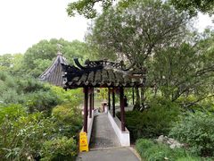 -上海醉白池公园