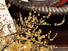-钱王祠