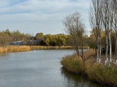 -大兴滨河森林公园