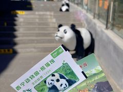 -青藏高原野生动物园