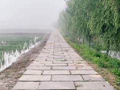 -南泥湾风景区