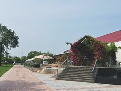 -圣露庄园·露营·烤肉·亲子