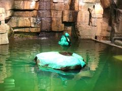 -zoonana室内动物园(东方福来德店)