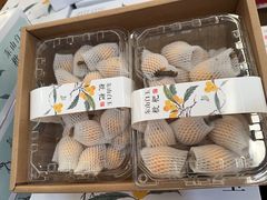 -上海龙吴水胜海发市场