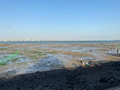 -集美鳌园景区