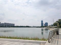 -映月湖中央公园