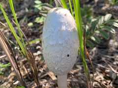 -野鸭湖国家湿地公园