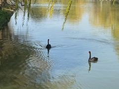 -华东政法大学(松江校区)