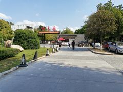 -中山市树木园