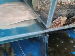 -宾朋海鲜特色美食餐厅·纯手工鲅鱼水饺(兴海路店)