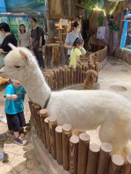 -宝燕乐园(闵行旗舰店)