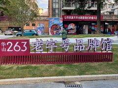 -华山263老字号品牌馆