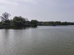 -上海长兴岛郊野公园