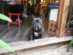 -吃货私房菜(丽江束河古镇店)