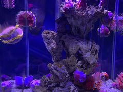 -太平洋海底世界