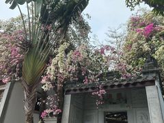 -深圳国际园林花卉博览园