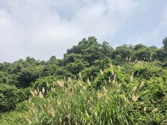 -火炉山森林公园