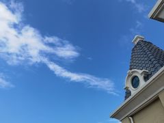 -青岛海景花园大酒店·白果树餐厅青岛菜