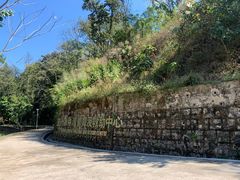 -野象谷景区