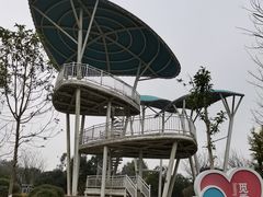 -铁山坪森林公园