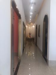 点击看大图 -YESIDO椰岛造型