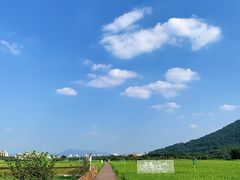 -艾米稻香小镇
