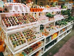 -KKV(上海月星环球港店)