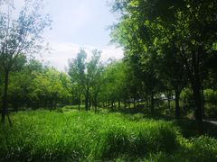 -东郊湿地公园
