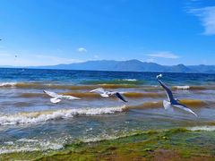 -月亮湾湿地公园
